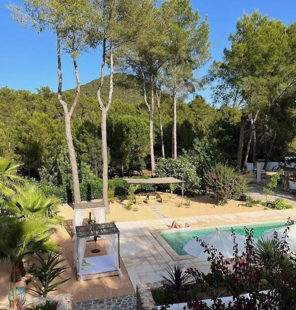 אכסניה הוילה קאלה יונגה Ipunga Ibiza - Adults Only ספרד